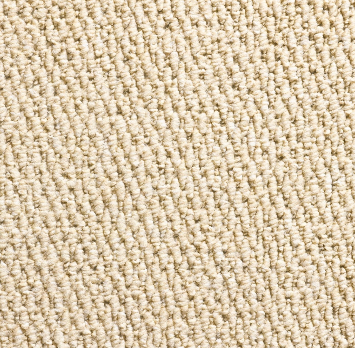 Regatta Beige Stair Runner With 100% Cotton Black Border